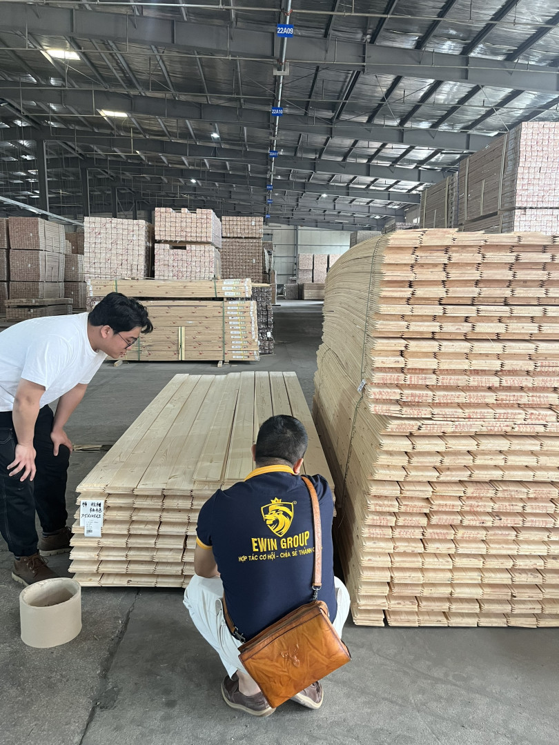 Gỗ thông có bị mối mọt không? Sự thật có thể bạn chưa biết