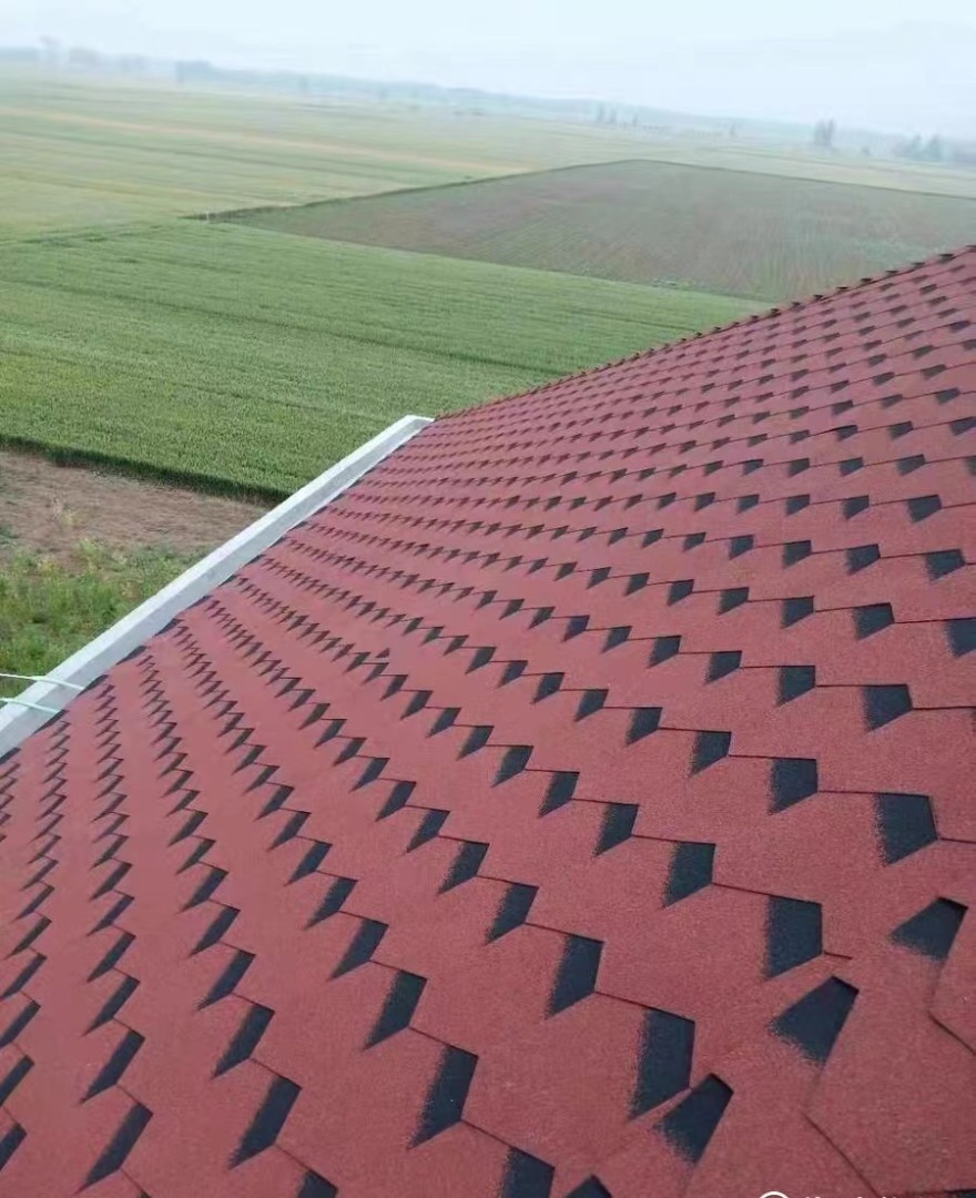 mẫu nhà ngói cấp 4 đẹp