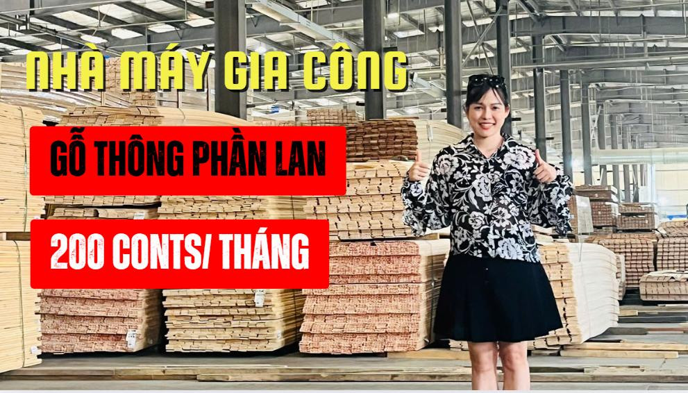 Chính sách giá và hỗ trợ khách hàng